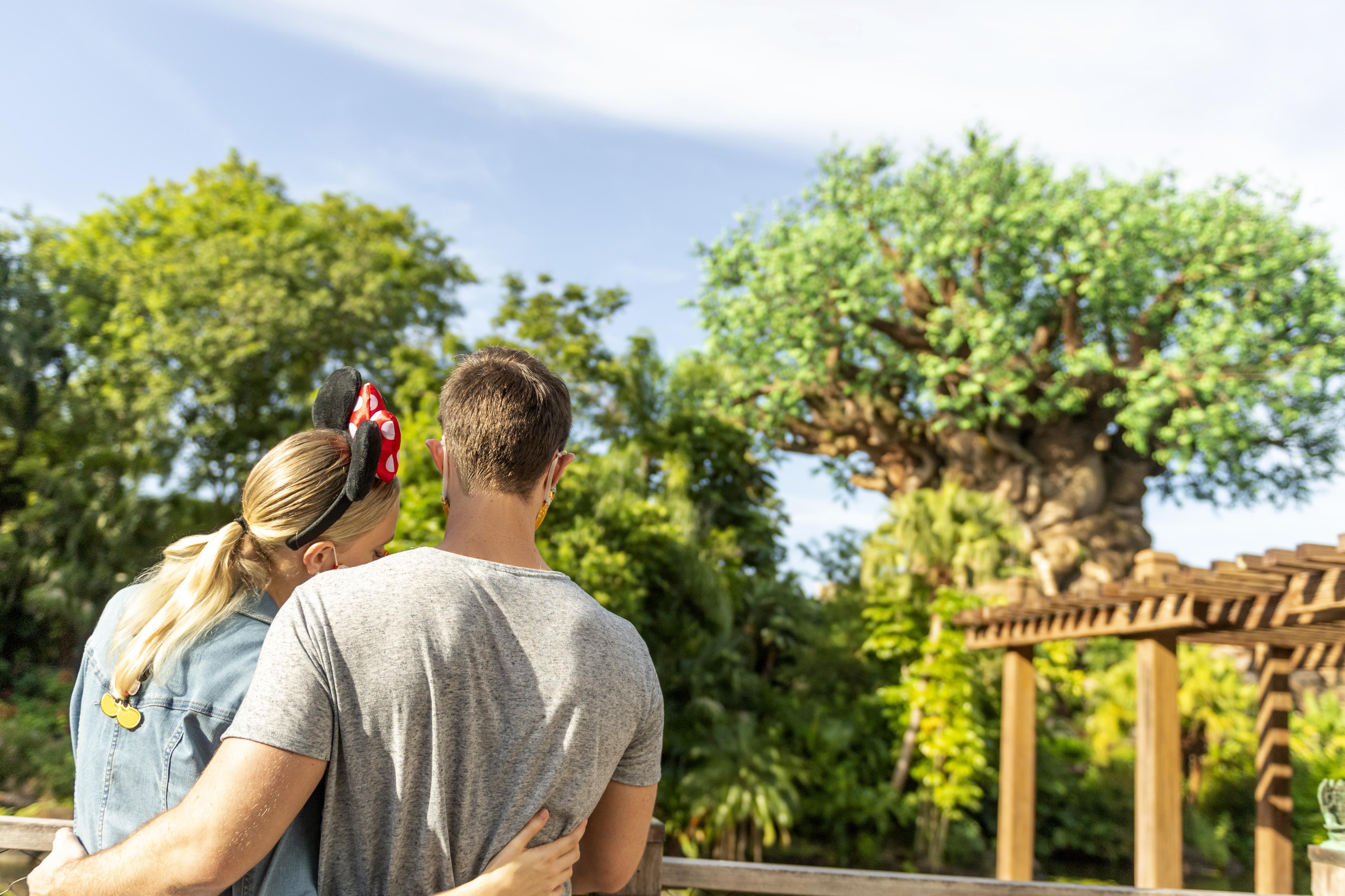 Boulder Ridge Villas At Disney'S Wilderness Lodge Lake Buena Vista Exteriör bild